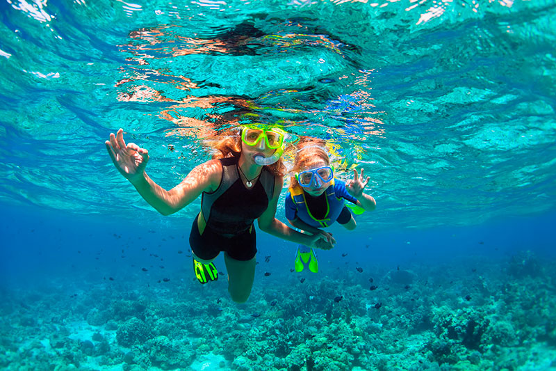 Snorkel Familiar: La atracción más demandada en la Riviera Maya